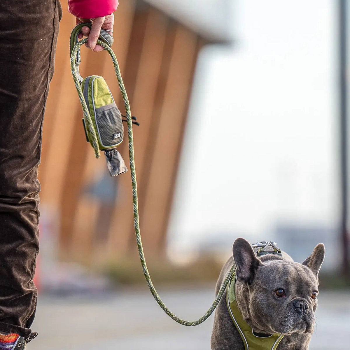 DOG Copenhagen Urban Rope Line Grøn til hunde – billede 2