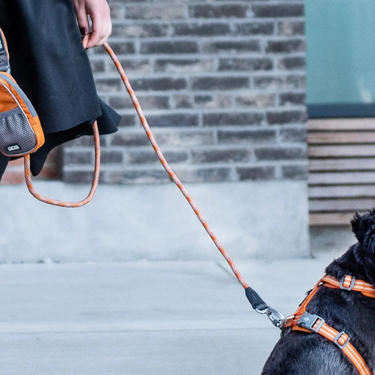 DOG Copenhagen Urban Rope Line Orange til hunde – billede 2