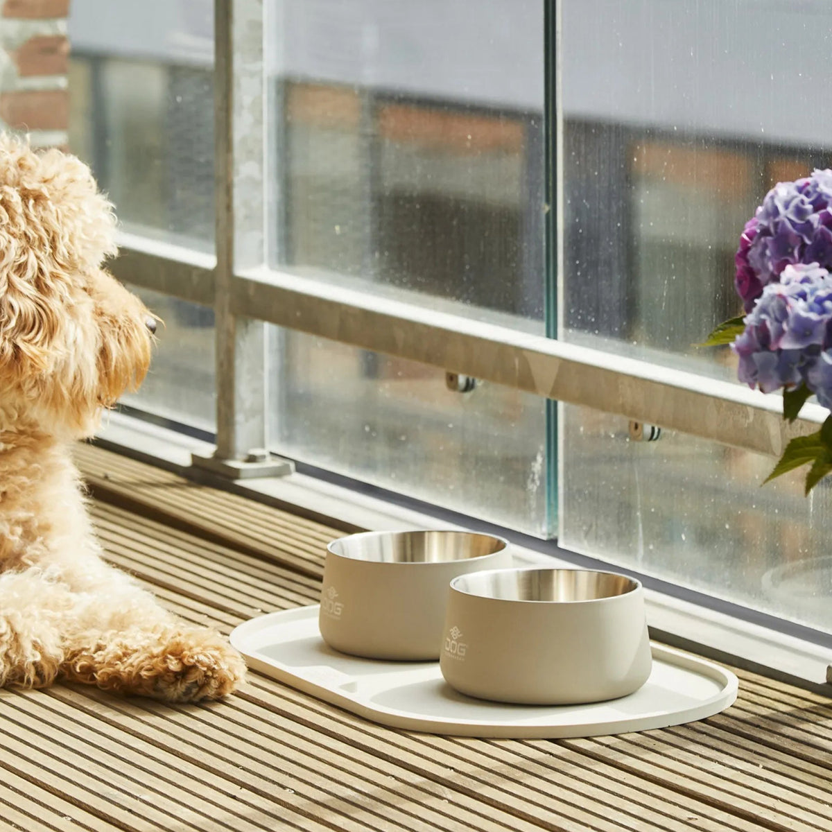 DOG Copenhagen Vega Skål Caffe Latte til hunde – billede 3