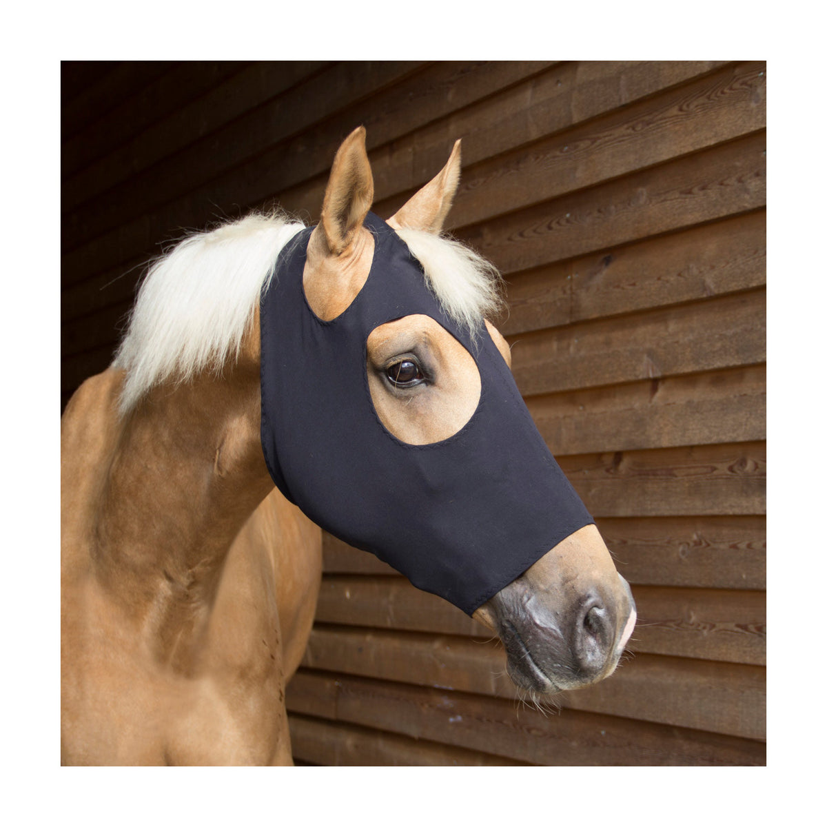 CATAGO Fir-Tech Healing Maske til heste
