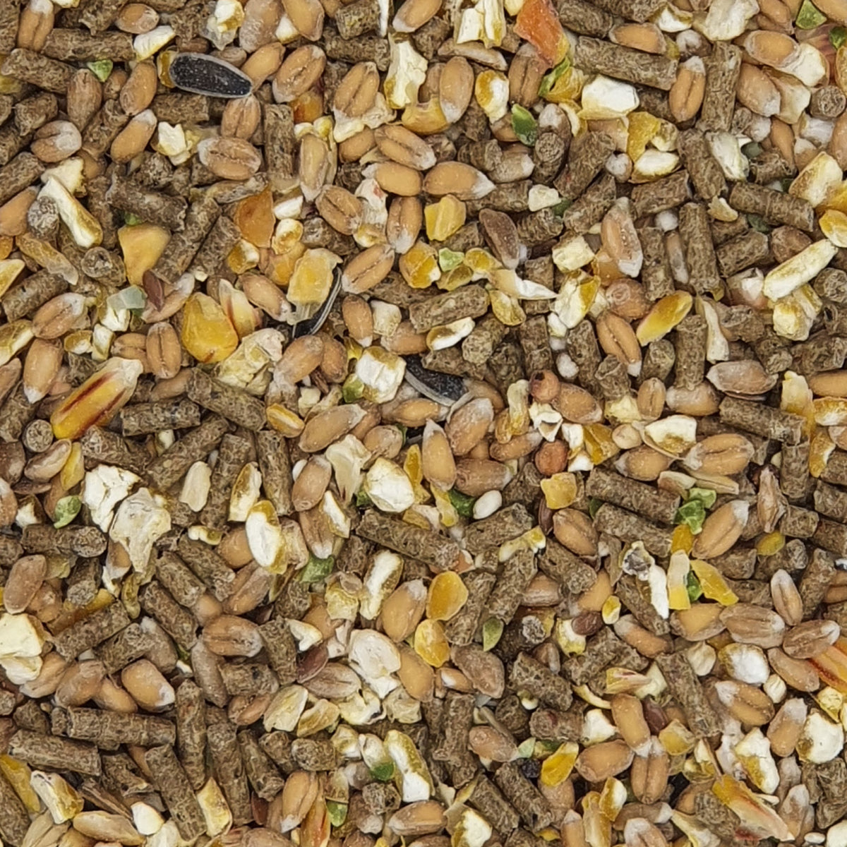 Hønsefuldfoder Gold 4 Mix i 20 kg sæk til høns fra Versele-Laga – billede 2