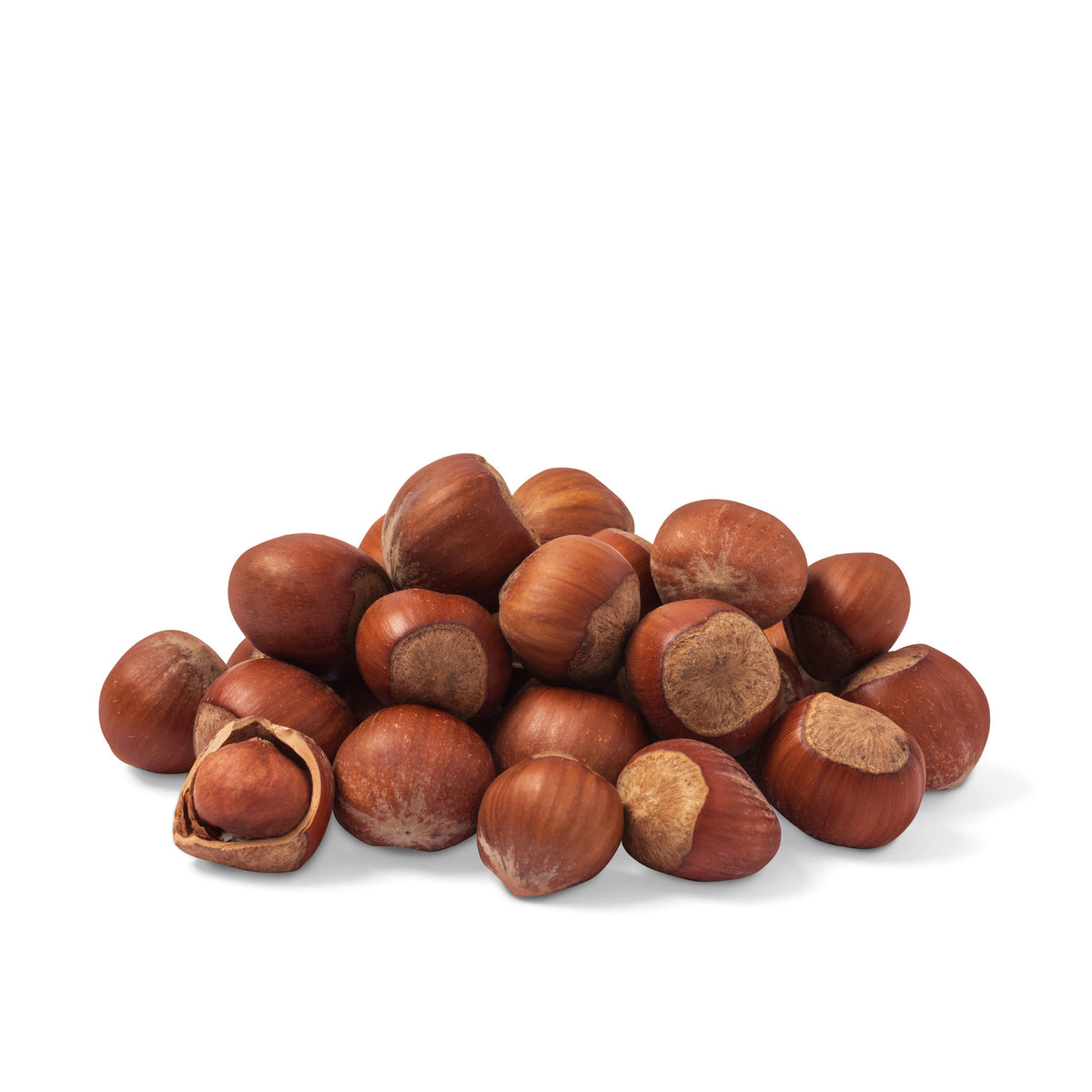 Hasselnødder m. Skal i 25 kg sæk til høns fra Køge Korn – billede 2