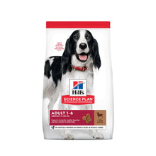 Hills Adult Medium Breed Lamb & Rice i 12 kg sæk til hunde