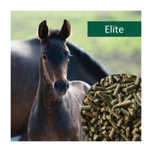 HorsePro Elite i 20 kg sæk til heste fra NAG