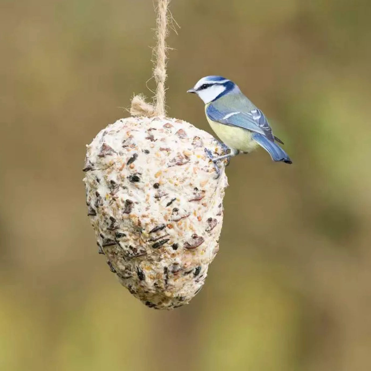 Kogle m. Fedt & Frø i 330 g pose til høns fra NATURAL BRANDE – billede 2