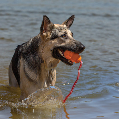 KONG Aqua Vandlegetøj Orange til hunde – billede 2