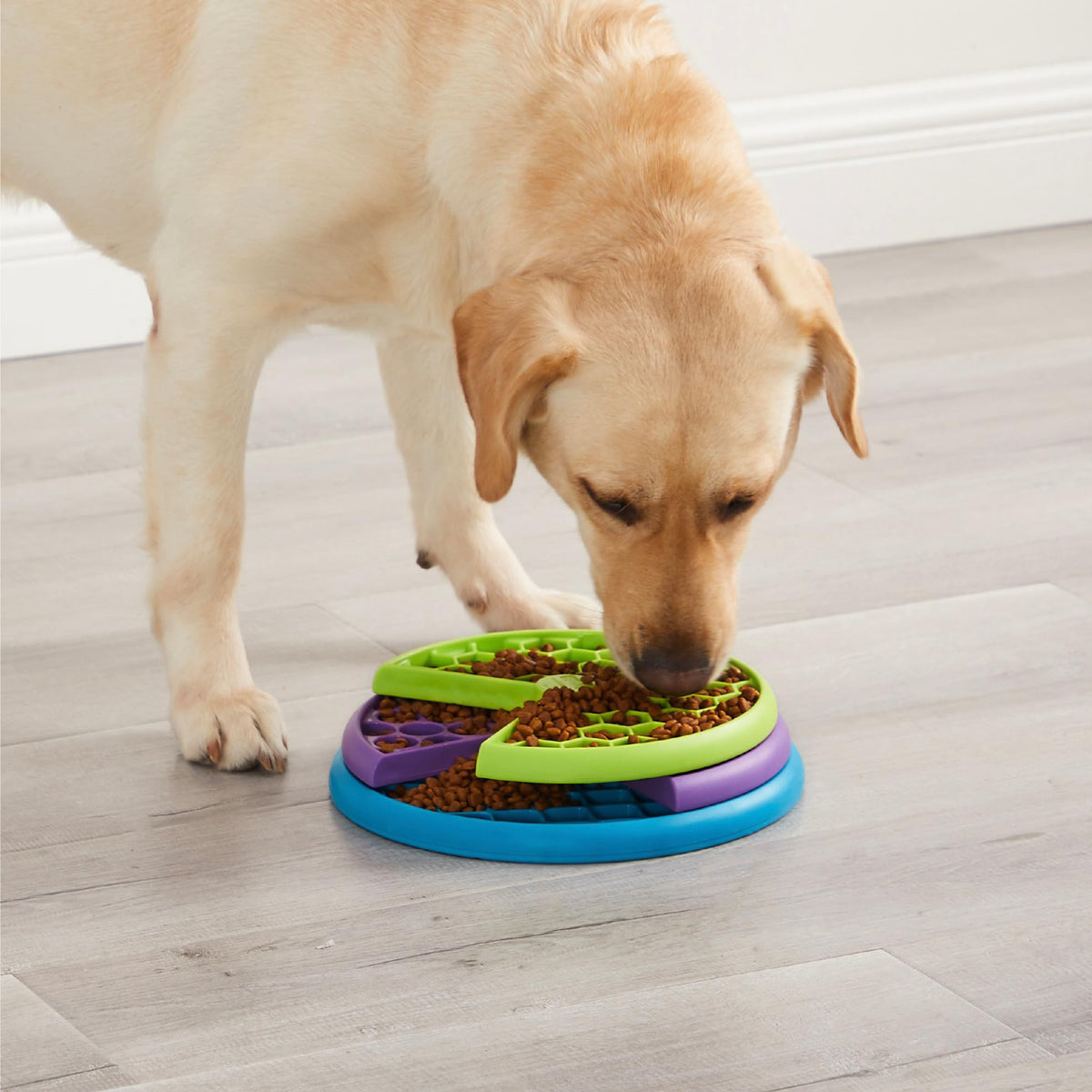 Nina Ottosson Lickin Layers Slowfeeder til hunde fra Nina Ottoson – billede 2