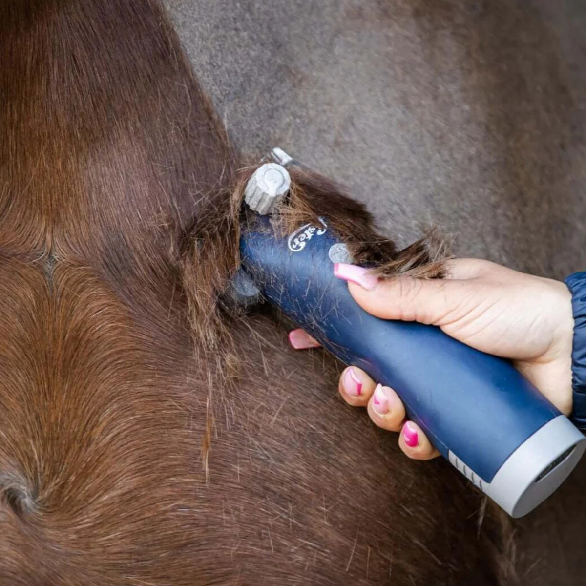 Hesteklipper Lister Eclipse til heste fra WAHL GmbH – billede 6