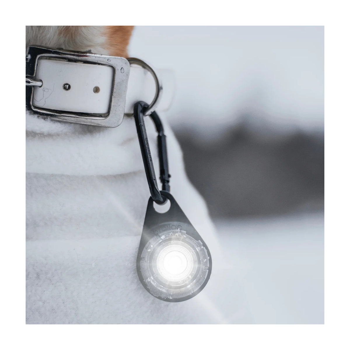 Orbiloc Carabiner Karabinhage til heste – billede 7