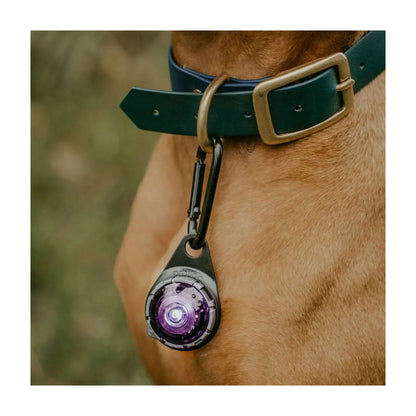 Orbiloc Carabiner Karabinhage til heste – billede 8
