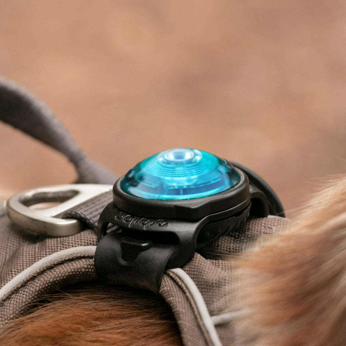 Orbiloc Strap Kit til heste – billede 3