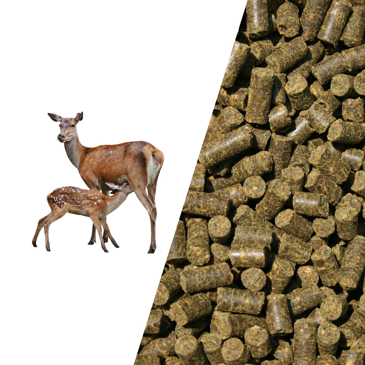 D&H Ruminant Cubes Vildtfoder i 20 kg sæk fra Dodson & Horrell