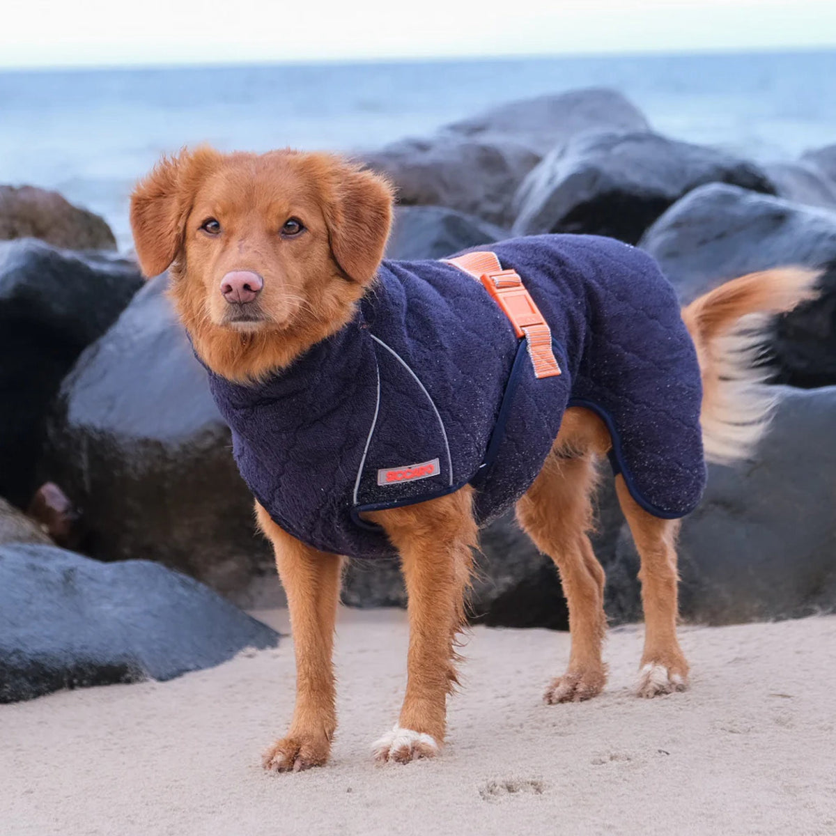 Siccaro Supreme 2.0 i 50 cm pakning til hunde fra Brogaarden