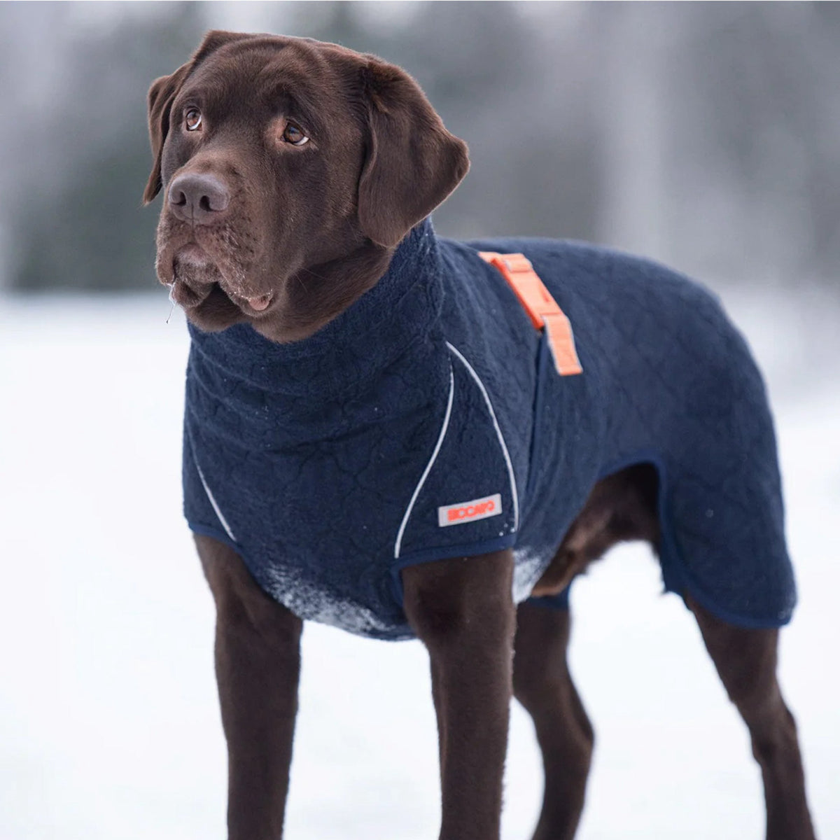 Siccaro Supreme 2.0 i 60 cm pakning til hunde fra Brogaarden
