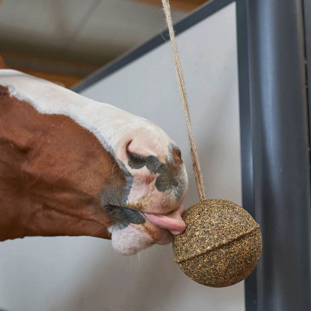 Unika Balls Prequalm i 1,8 kg pose til heste fra EKKIA SAS – billede 6