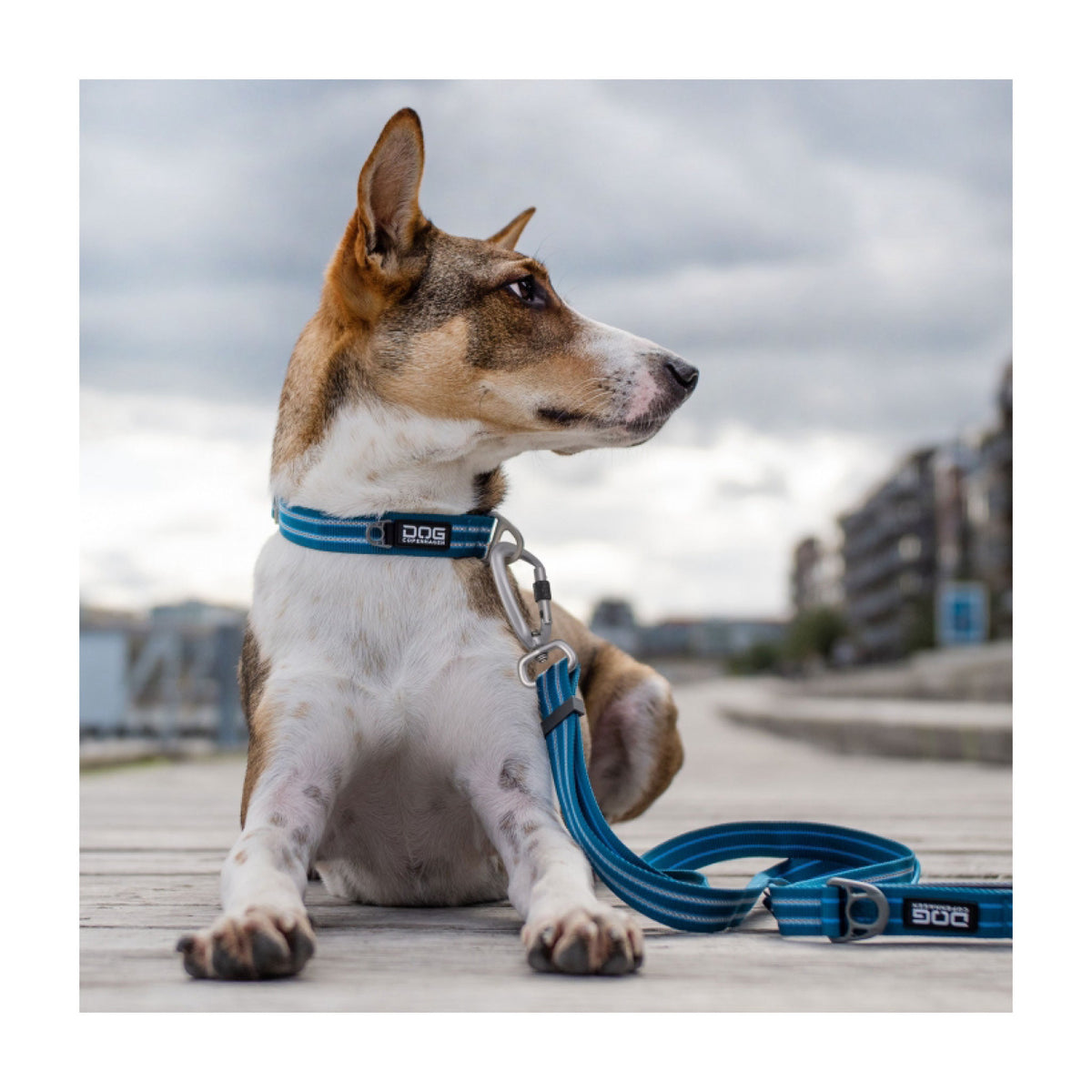 Urban Style halsbånd L Blå til hunde fra DOG Copenhagen