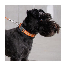 Urban Style Halsbånd Orang L til hunde fra Brogaarden