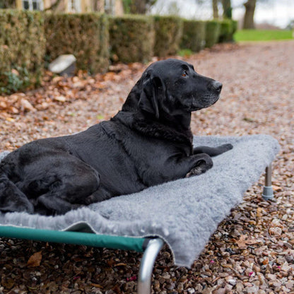 Original Vetbed Non-Slip 75 x 100 cm i 100 cm pakning til hunde fra Vetbed – billede 2