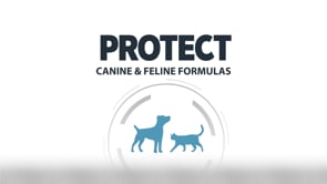 Protect Dog Osteo i 2 kg pose til hunde