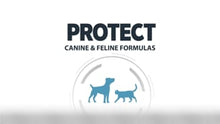 Protect Cat Obesite i 2 kg pose til katte