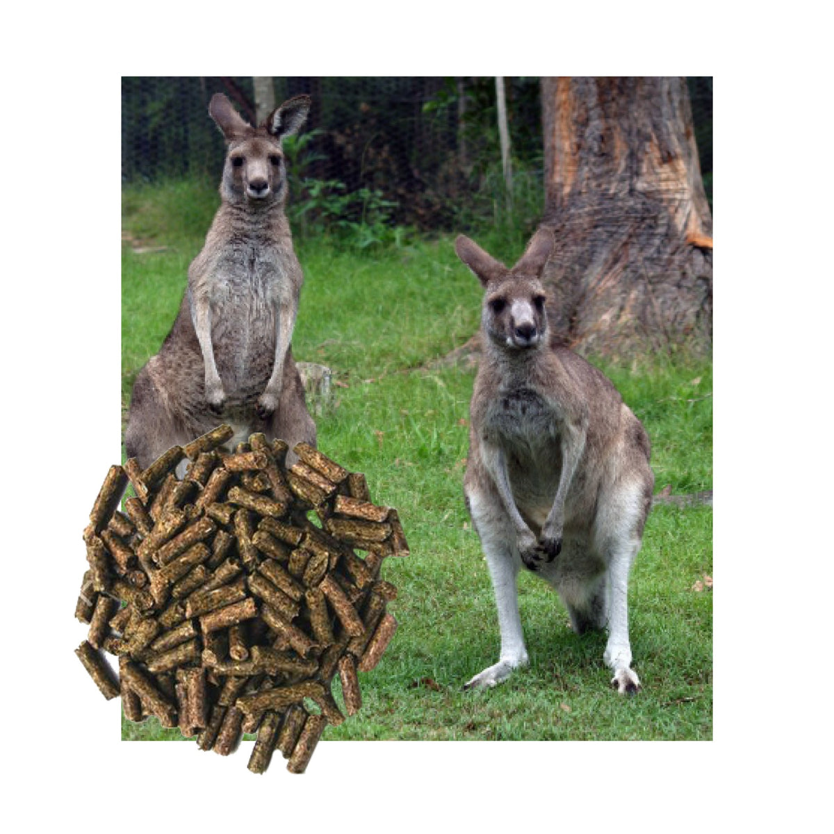 Kangaroo & Wallaby foder i 20 kg sæk fra Dodson & Horrell