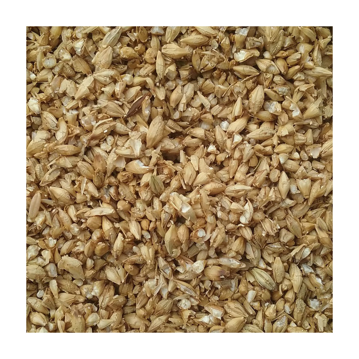 Valset Byg hestefoder i 20 kg sæk fra Brogaarden