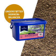 D&H Chaste Tree Berries Munkepeber i 2 kg pose til heste fra Dodson & Horrell