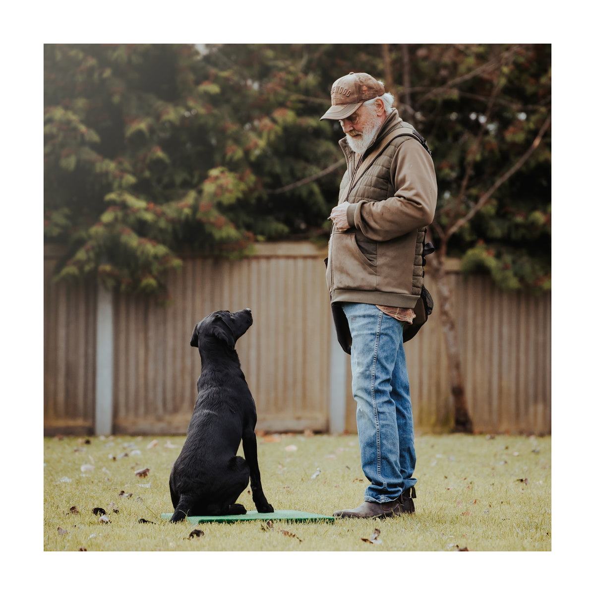 Placeboard Stor 70 x 50 cm i 50 cm pakning til hunde fra Dyresygeplejersken & Piberhus – billede 3