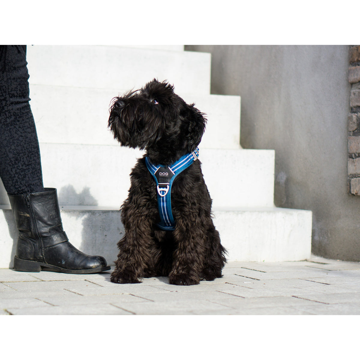 DOG Copenhagen Hundesele Comfort Walk Air str. S Sort til hunde – billede 6