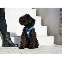 DOG Copenhagen Hundesele Comfort Walk Air str. S Blå til hunde