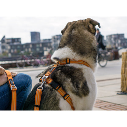 DOG Copenhagen Hundesele Comfort Walk Air str. S Blå til hunde – billede 7