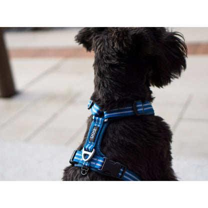 DOG Copenhagen Hundesele Comfort Walk Air str. M Sort til hunde – billede 5