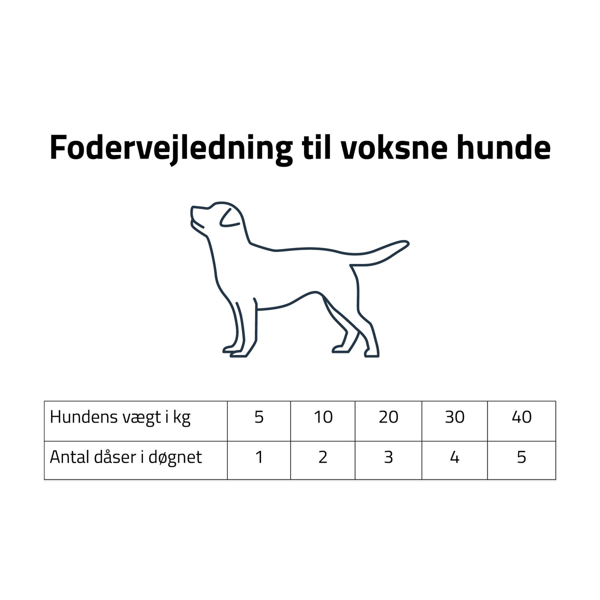 RAFI Vådfoder m. Kalkun Adult i 400 g pose til hunde – billede 2