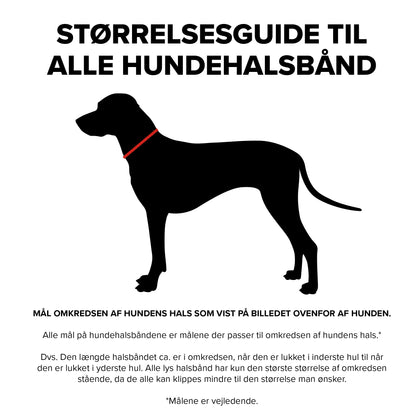 Soft Læderhalsbånd Brun 27 i 38 cm pakning til hunde fra Whesco – billede 2