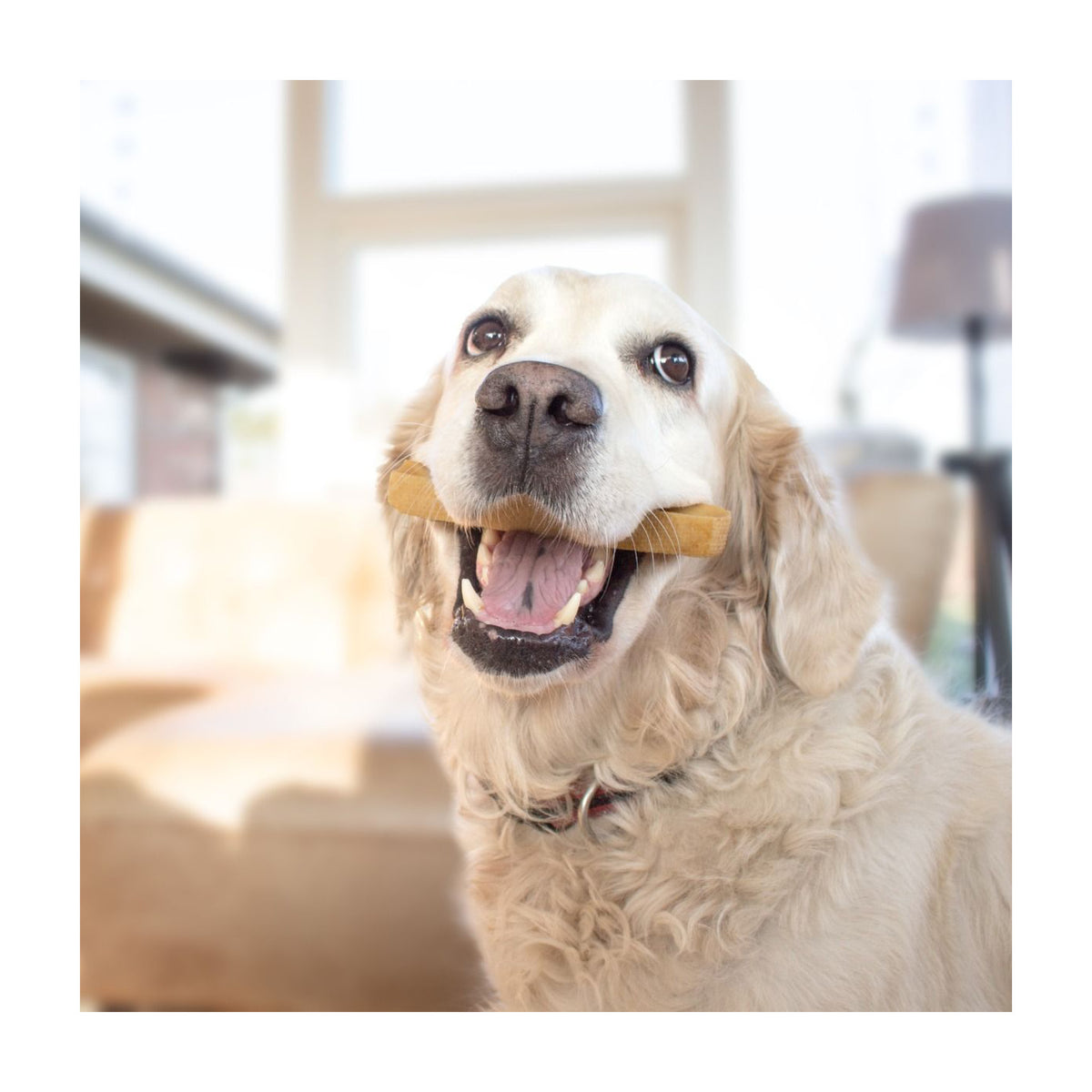 Yaki Original Osteben Gigant 230 i 250 g pose til hunde – billede 5