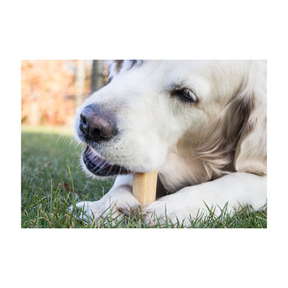 Yaki Original Osteben Gigant 230 i 250 g pose til hunde – billede 4