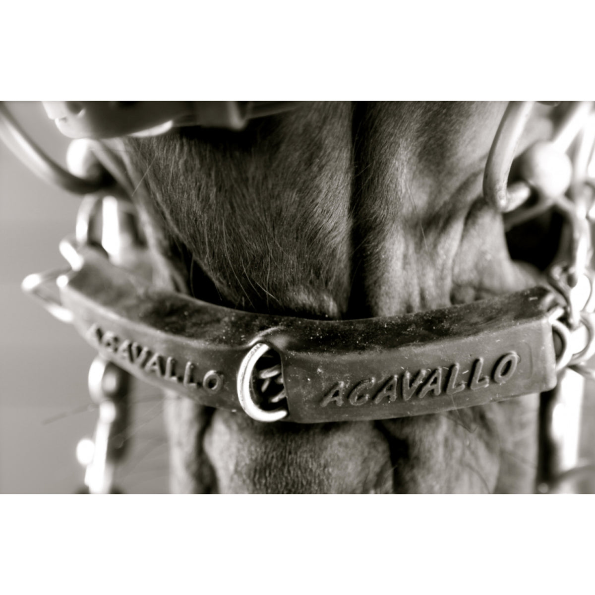 Acavallo Gel Chain Guard Kindkædebeskytter til heste – billede 2