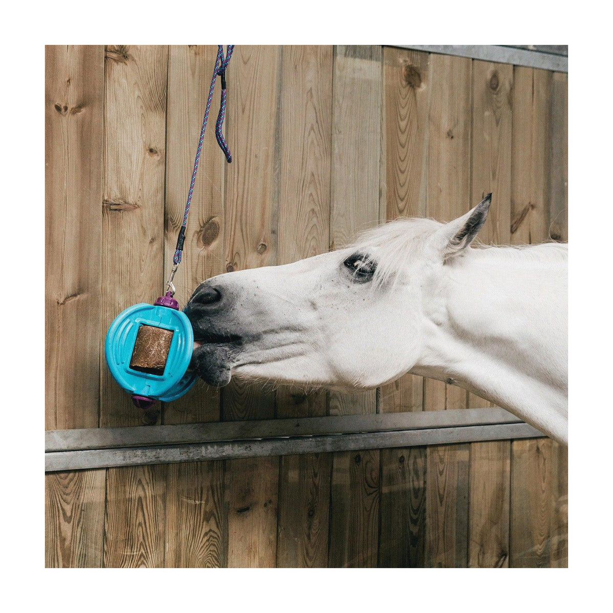 Bizzy Horse Lick Refill Mint hestefoder i 1 kg pose – billede 2