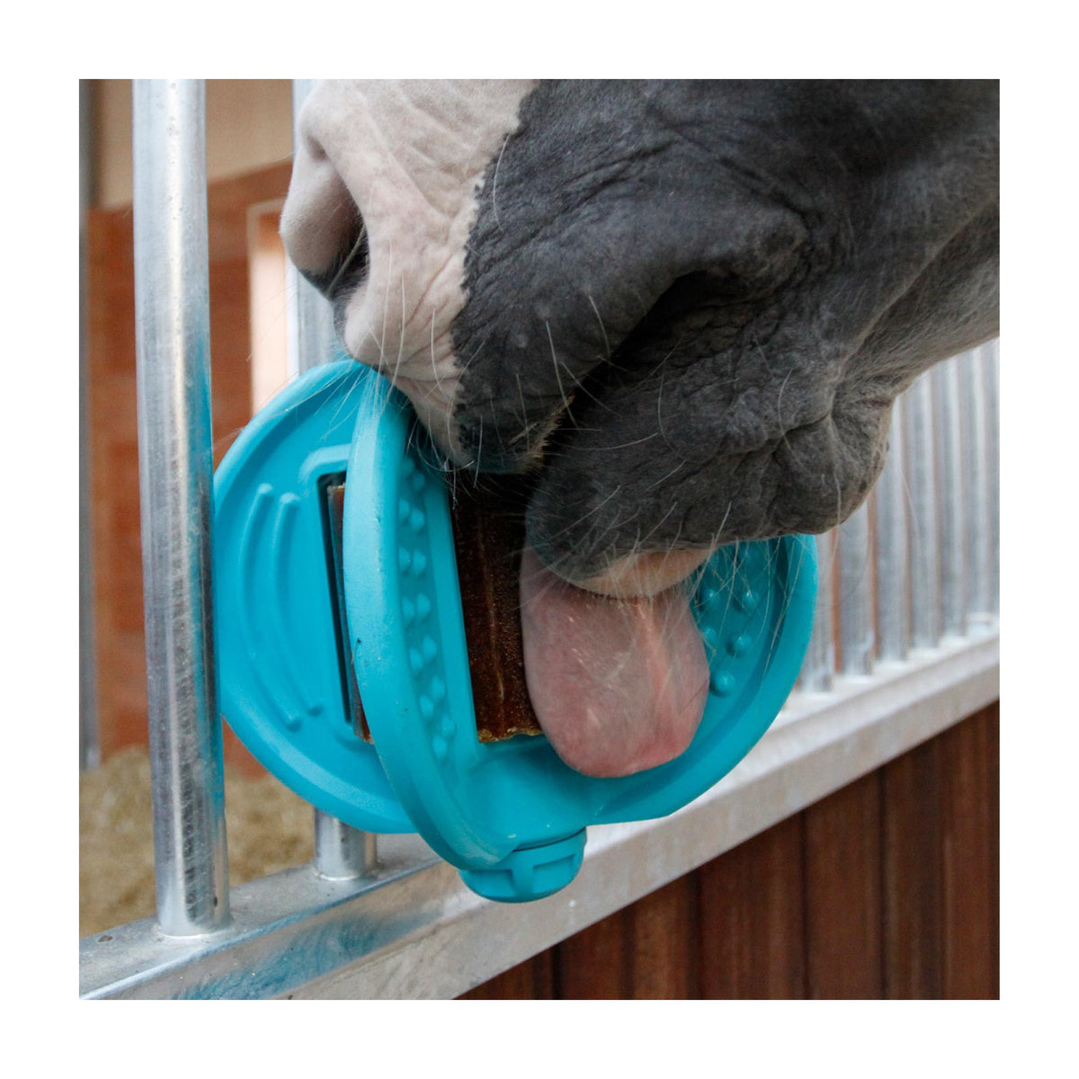 Bizzy Ball Pink hestefoder fra Bizzy Horse – billede 2