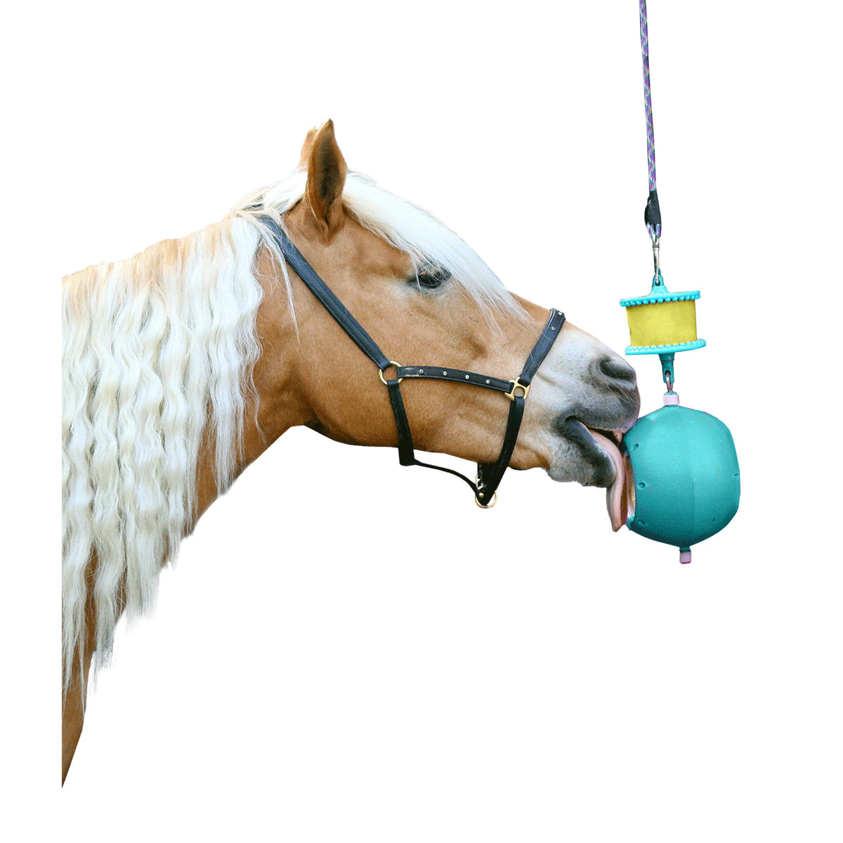 LIKIT Boredom Breaker Turkis til heste – billede 3