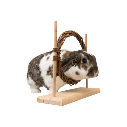 Kaninhop / Agilitysæt 28 x 26 cm i 26 cm pakning til kaniner og gnavere fra Trixie – billede 4