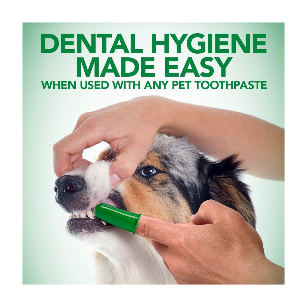 Vets Best Dental Finger Toothbrush Fingertandbørste i 5 stk pakning til hunde fra Øvrige – billede 2